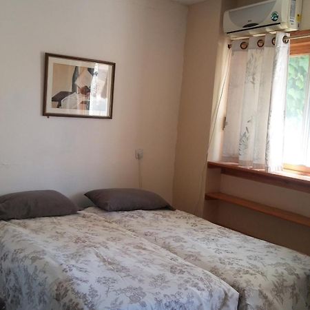 Myrtle The Turtle Guesthouse Safed Dış mekan fotoğraf