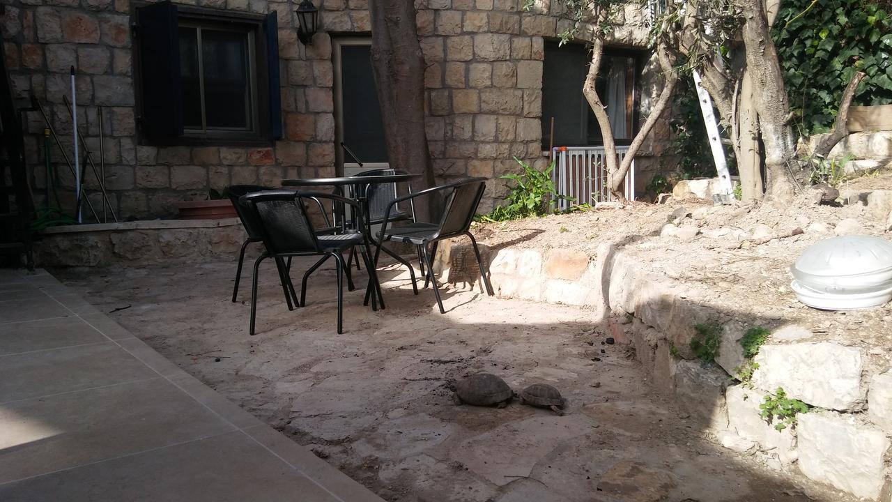 Myrtle The Turtle Guesthouse Safed Dış mekan fotoğraf